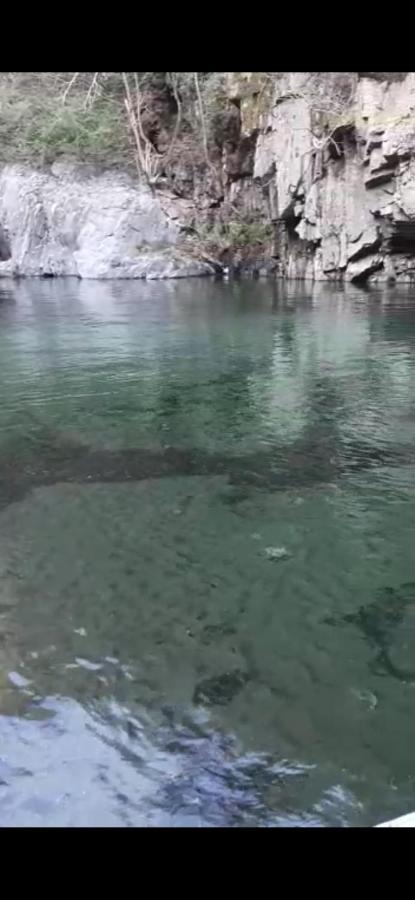 CossognoDa Nonna Pina公寓 外观 照片